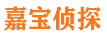 岑巩侦探公司